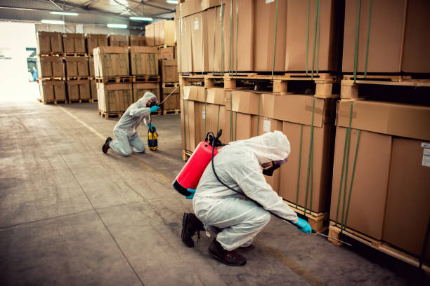 Best Pest Control for Businesses  in Sayre, PA