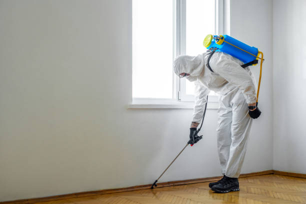 Best Wasp Removal Services  in Sayre, PA