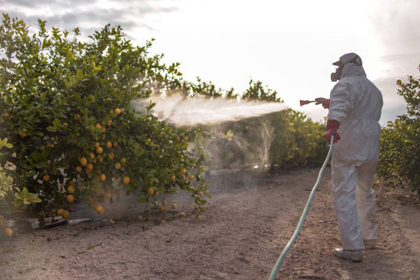 Best Pest Control Near Me in Sayre, PA