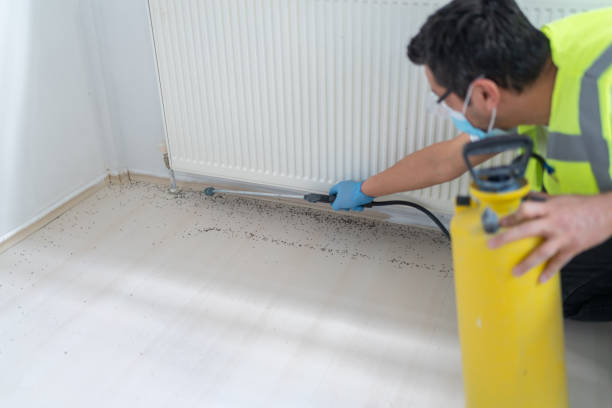 Best Cockroach Control Services  in Sayre, PA